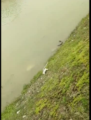 客車自動(dòng)破窗裝置,遙控自動(dòng)破玻器,破窗器,南冠破玻器 客車自動(dòng)破窗裝置,遙控自動(dòng)破玻器,破窗器,南冠破玻器